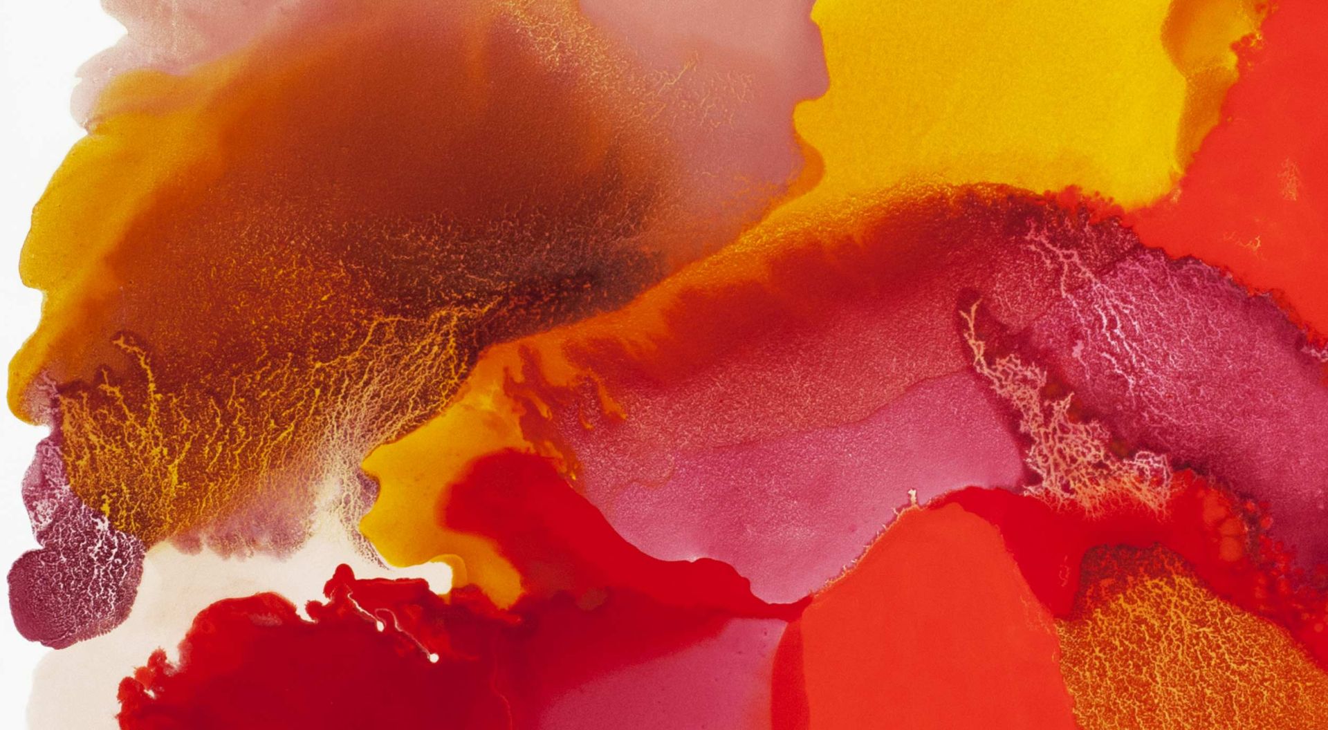 Julie_Corbet-oil-on-board-05-painting-detail